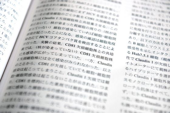 Buch mit japanischer Schrift 