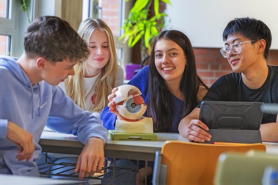 Vier Schülerinnen und Schüler sitzen um ein Modell eines Auges.