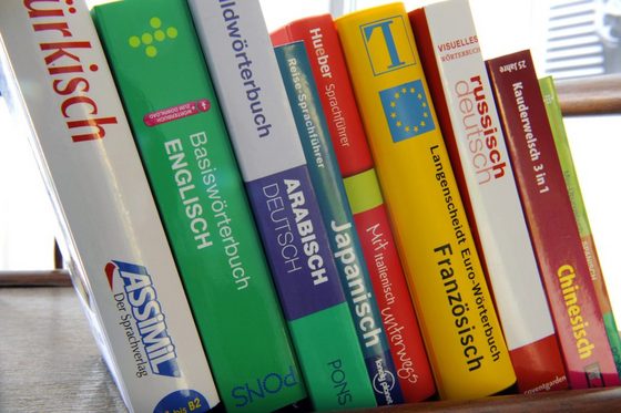 Mehrere Wörterbücher in den Fremdsprachen spanisch, chinesisch, russisch, französisch, italienisch, japanisch, arabisch, englisch und türkisch stehen schräg nebeneinander in einer Reihe.