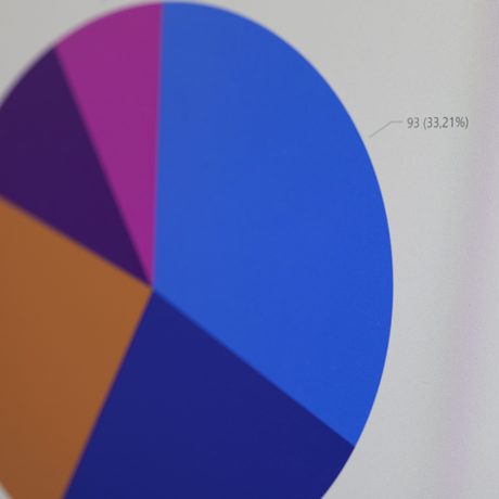 Detail: Monitor mit Graphik eines Kreises, der Prozentanteile in verschiedenen Farben anzeigt. (Foto: Axel Jusseit)