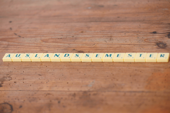 Spielsteine mit dem Aufdruck "Auslandssemester"