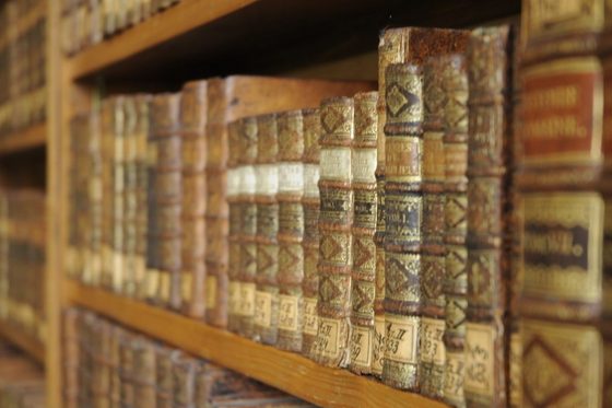 In einem Regalteil eines Holzregals stehen sehr alte Bücher in einer Reihe und mit dem Buchrücken zum Betrachtenden. Die historischen Buchrücken sind sehr aufwendig gestaltet.
