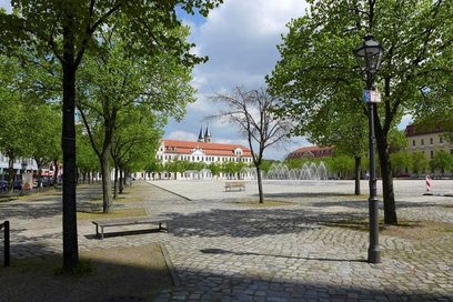 Blick auf den Landtag von Magdeburg, zwischen Bäumen hindurch