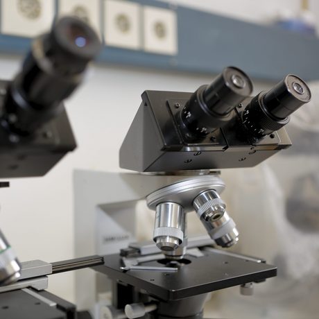 Detailaufnahme eines Forschungsmikroskops (Foto: Thorsten Ulonska)