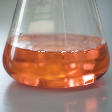 Nahaufnahme: Glaskolben mit orangener Flüssigkeit
