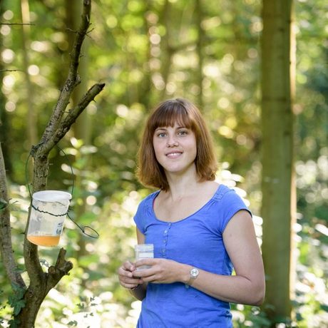 Junge Frau entnimmt Gewässerproben in einem Wald
