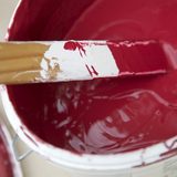 Detail: Ein Pinsel wird in einen frisch angemischten Rotton in einen Farbeimer eingetaucht.