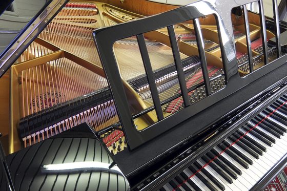 Ein aufgeklapptes Flügel Klavier. (Foto: André Deco)