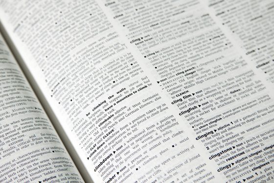 Nahaufnahme eines aufgeschlagenes Englisch-Wörterbuchs. (Foto: Gerhard Blank | Bundesagentur für Arbeit)