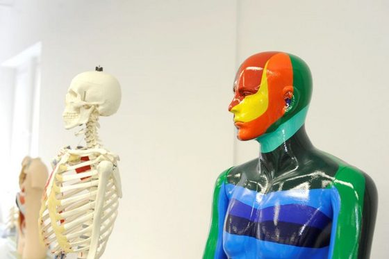 Im Hintergrund ein Skelett, im Vordergrund sind farbige Zonen an einer Puppe eingezeichnet.