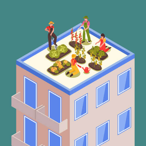 Urban Gardening/Urban Farming