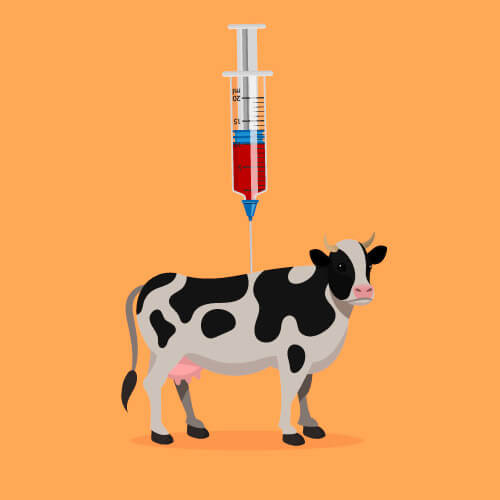 In-vitro-Fleisch