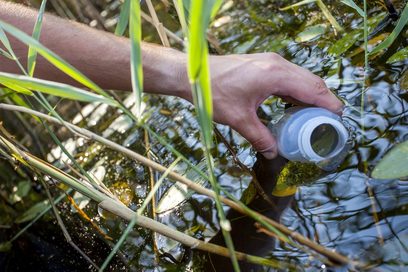 Eine Männerhand hält ein Kunststoffgefäß in ein Gewässer, aus dem Grünpflanzen empor wachsen. (Foto: Andreas Franke | Bundesagentur für Arbeit)