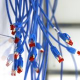 Blaue Netzkabel mit roten Kappen hängen an einer Wand