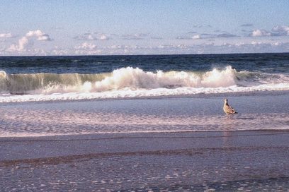 Eine Welle rollt an den Strand.